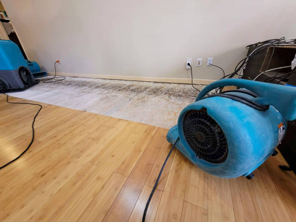 Professional Water Damage Repair technician working in Ocracoke, NC